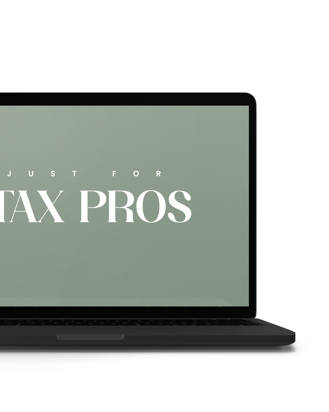 Tax Professionals
